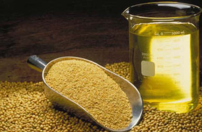 اولین کارخانه تولید روغن سویا در افغانستان  آغاز به کار ‌کرد